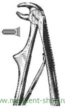 Щипцы зубные П 5 (186)